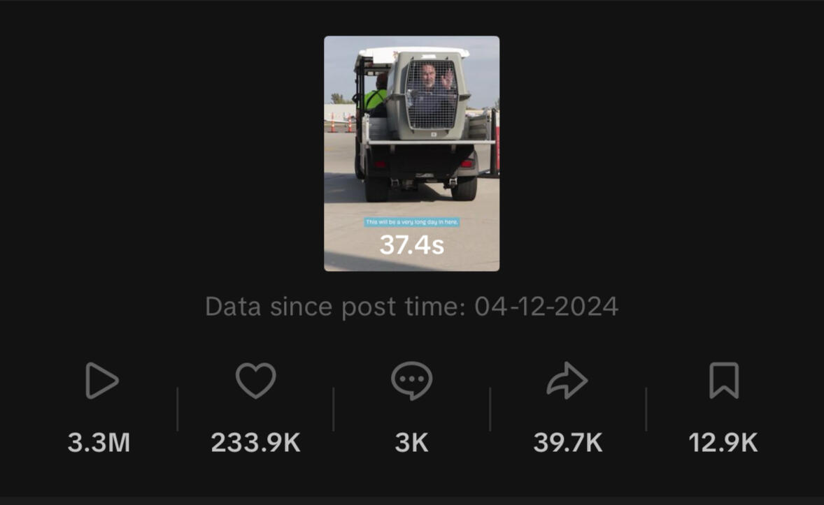 Most Viewed Video on TikTok (All Time)