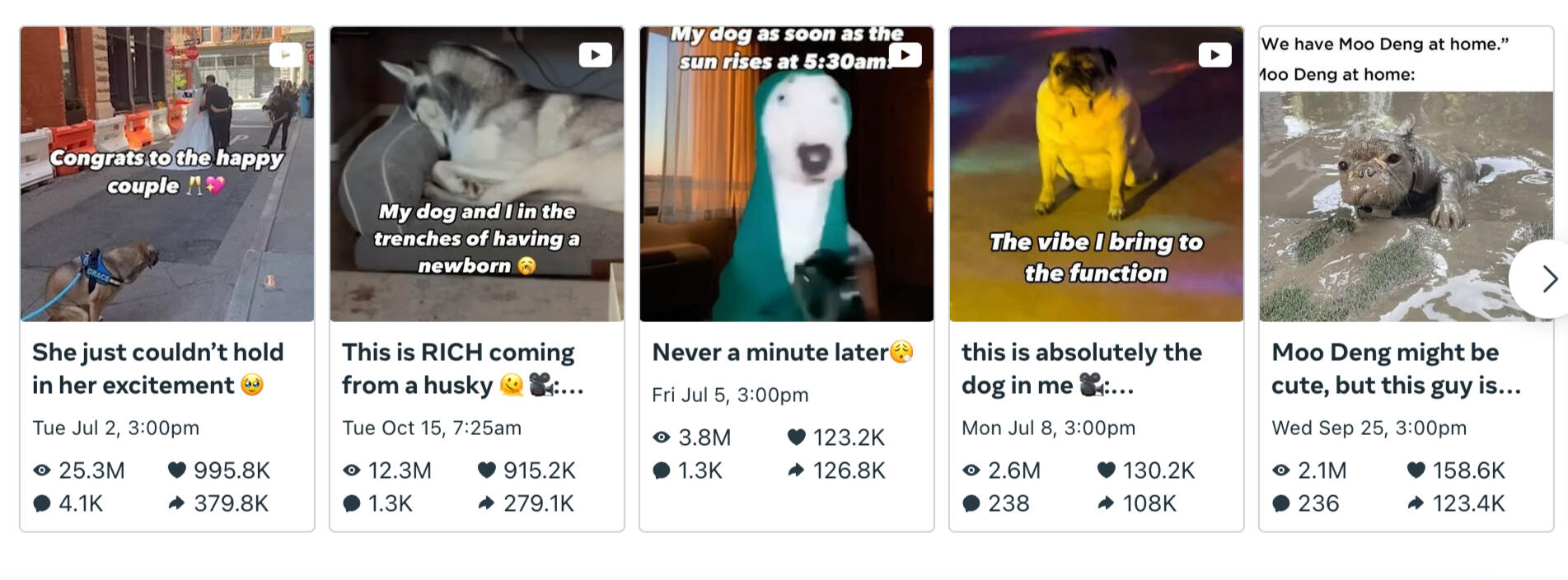 Top Preforming IG Content 2024-2025