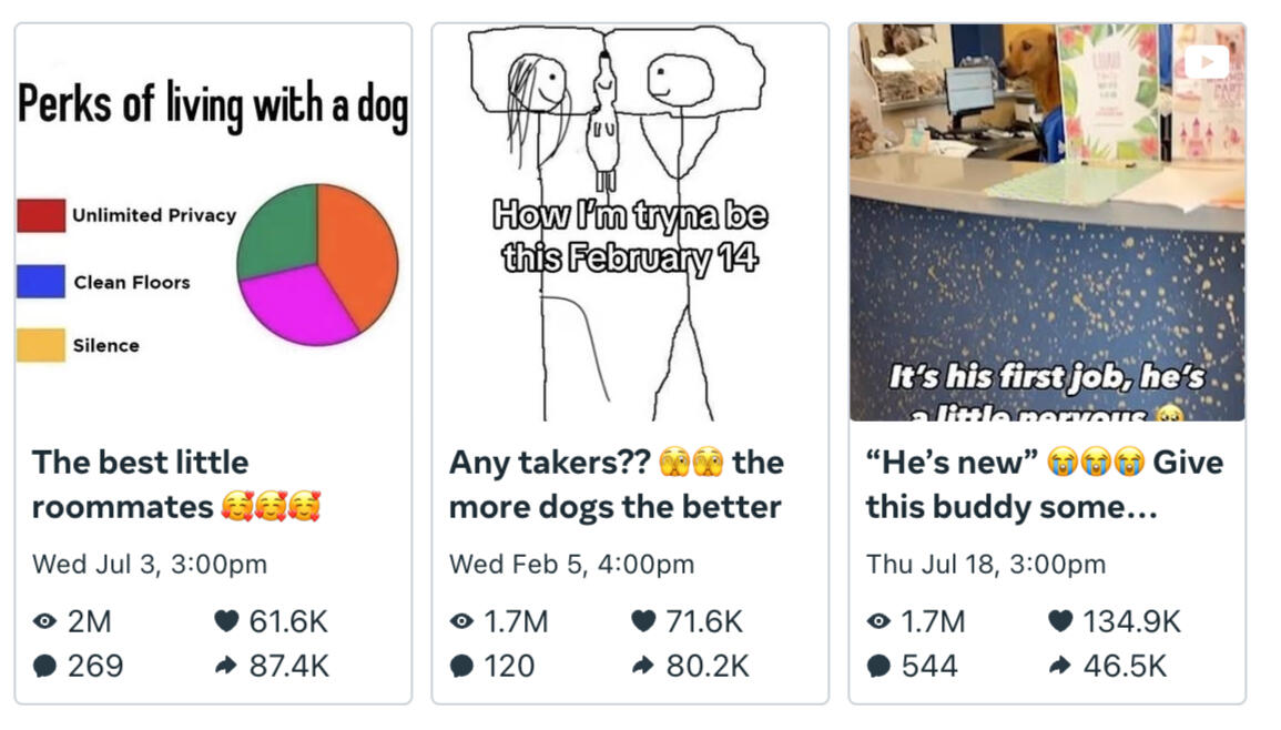 Top Preforming IG Content 2024-2025